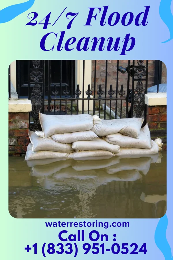 24/7 Flood Cleanup in Altura, MN