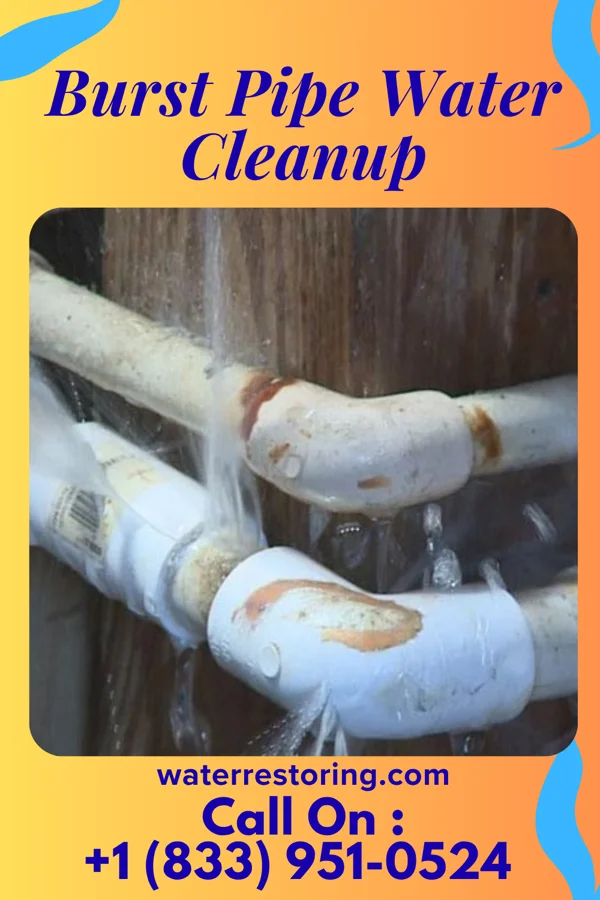 Burst Pipe Water Cleanup in Altura, MN