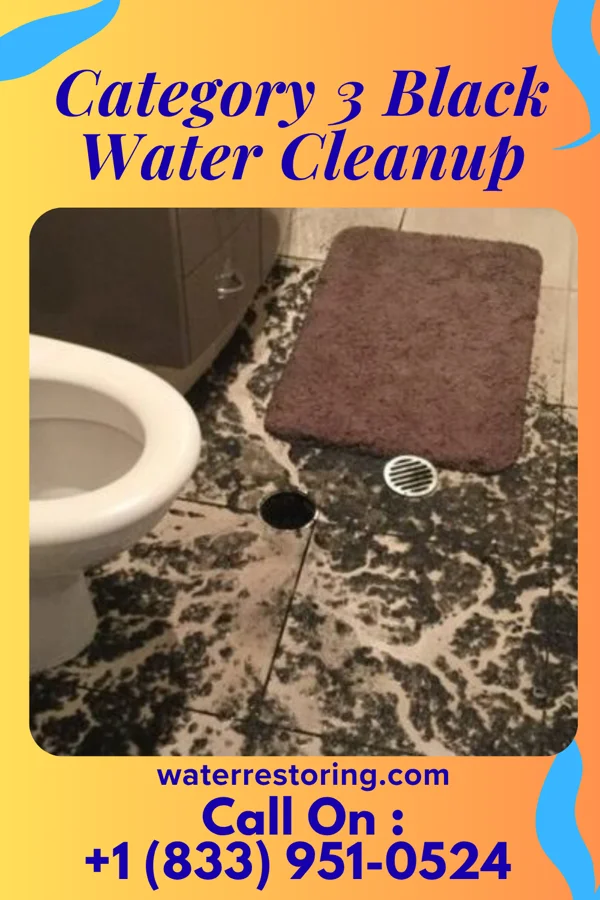 Category 3 Black Water Cleanup in Altura, MN